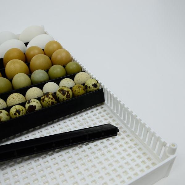 Flexy80 Egg Setter Tray with separators