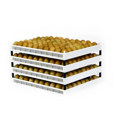 Flexy80 Egg Setter Tray with separators