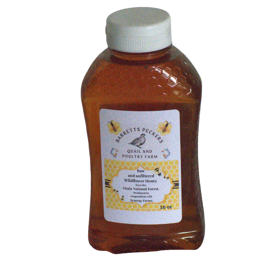 Premium Raw and unfiltered  Wildflower Honey from the Ocala National Forest - Garden for Quail Enthusiasts