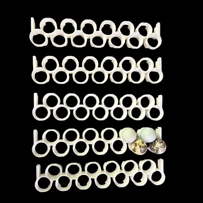 Jumbo Quail Egg Rails for Cimuka®/Hatching Time® Incubators (CT-Series, Pro24) and Maxicoopx incubators