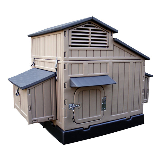 Large Chicken Coop & Stand with Stairs