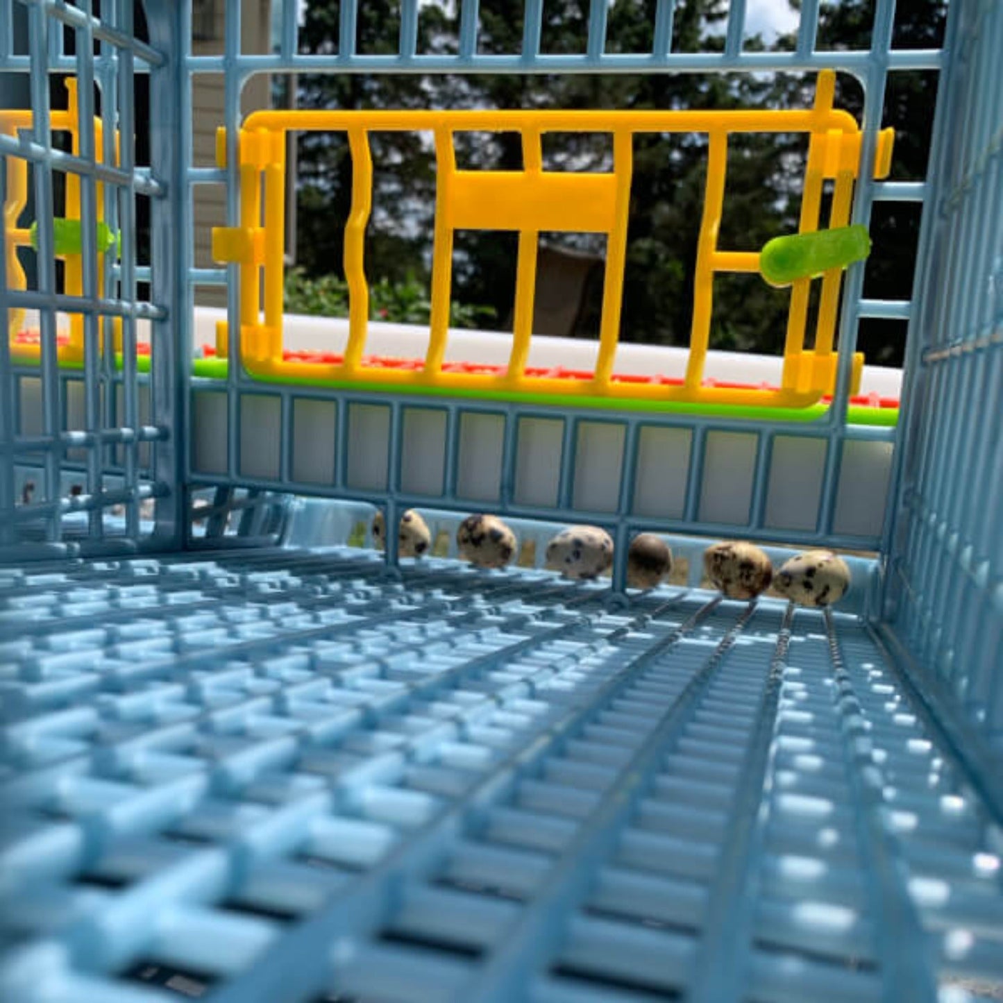 Quail Cage - 3 Layer