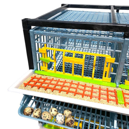 Quail Cage - 3 Layer