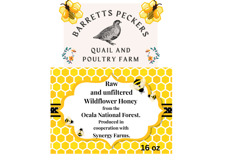 Premium Raw and unfiltered  Wildflower Honey from the Ocala National Forest - Garden for Quail Enthusiasts