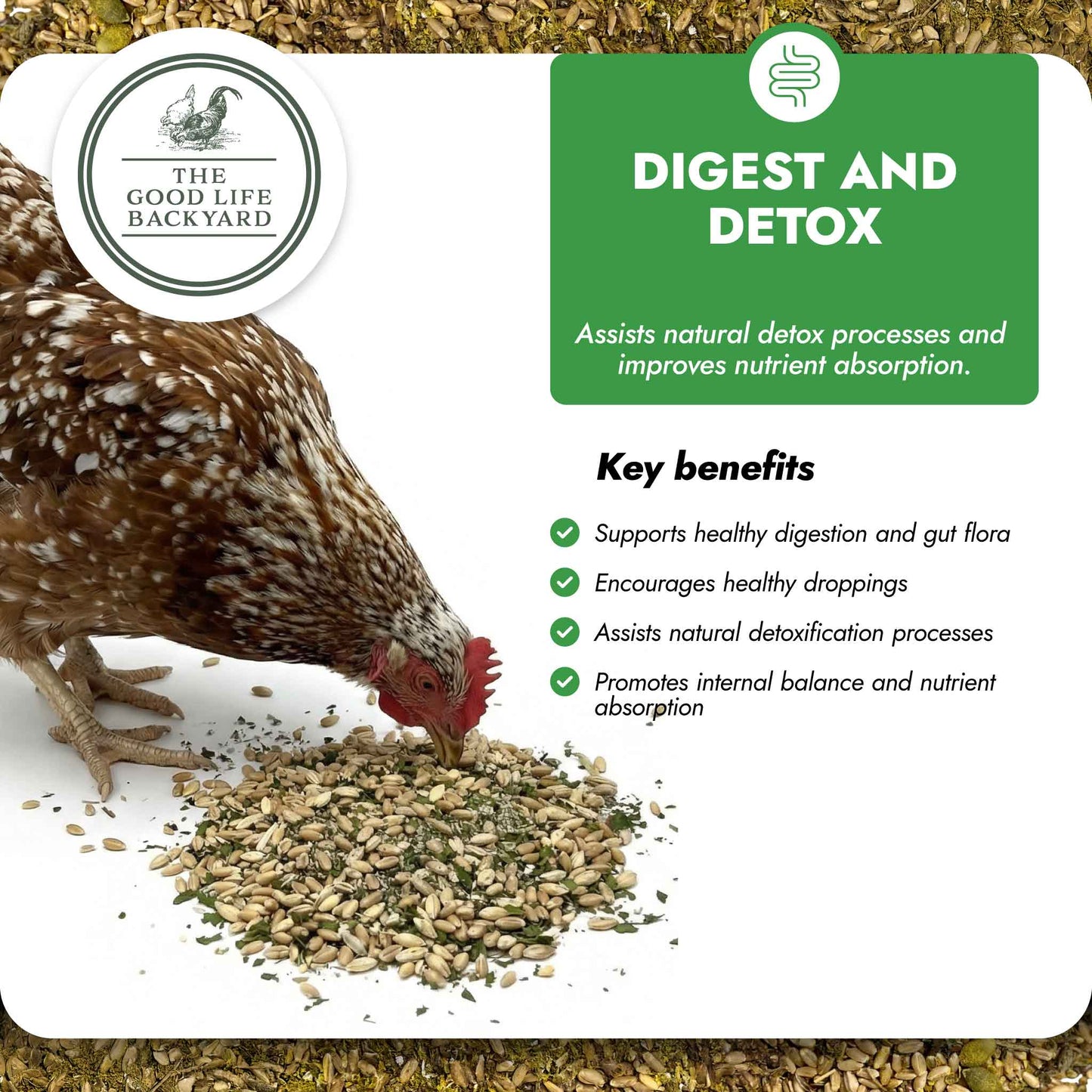 Digest & Detox – Gut Health Blend