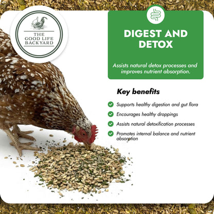 Digest & Detox – Gut Health Blend