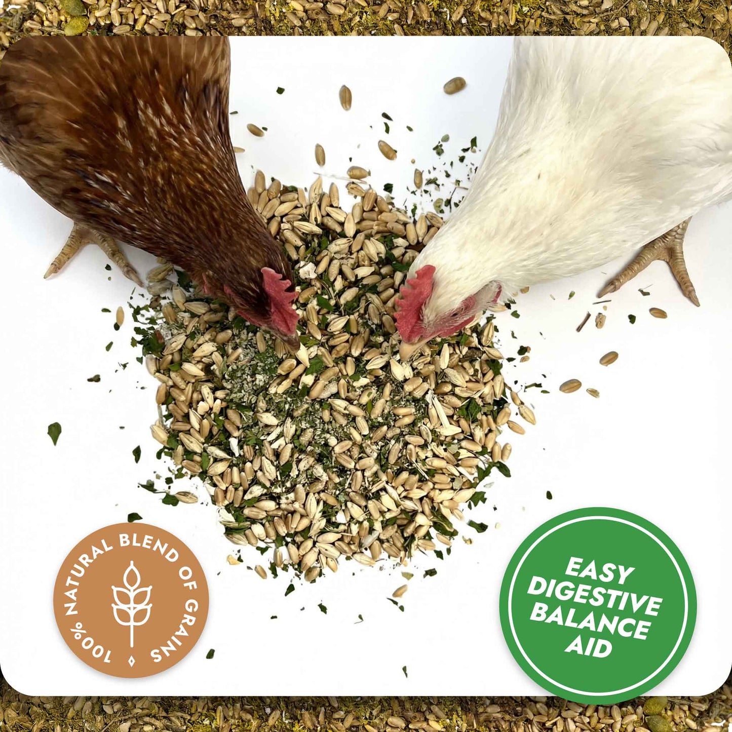 Digest & Detox – Gut Health Blend