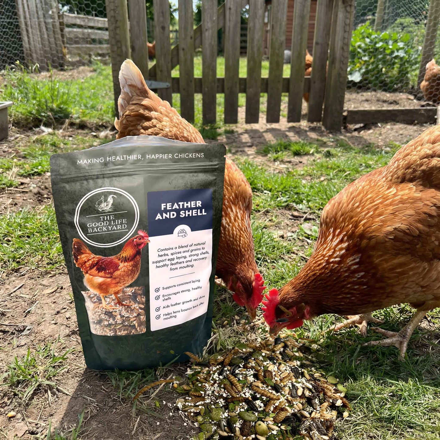 Feather and Shell - Calci-Protein Blend (Chicken Feed Additive)