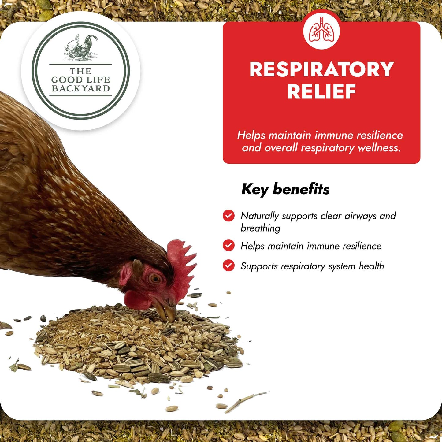 Respiratory Relief – Spice Blend