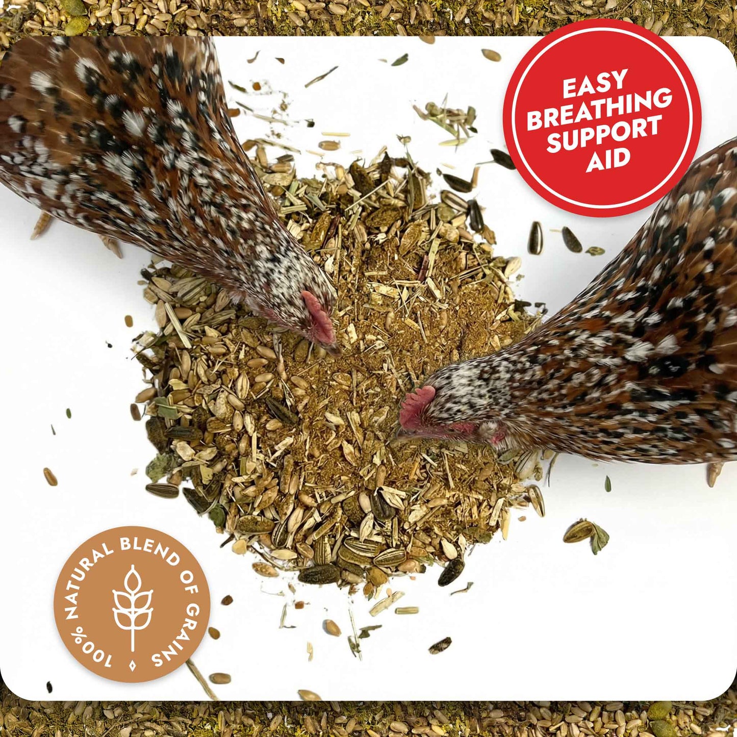 Respiratory Relief – Spice Blend