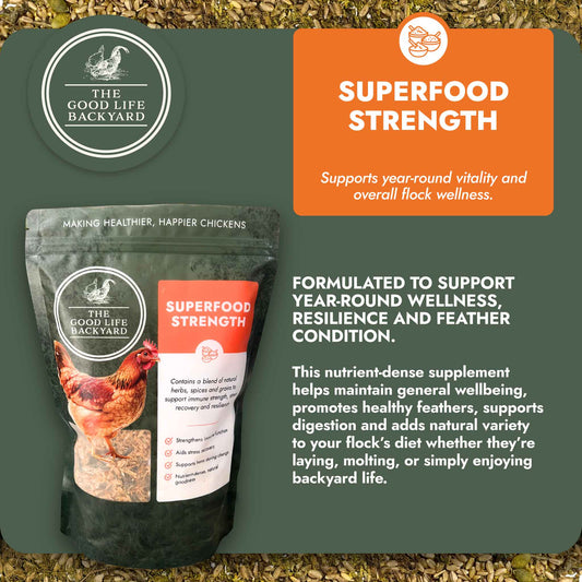 Premium Superfood Strength – General Wellbeing - Quail Feed for Quail Enthusiasts