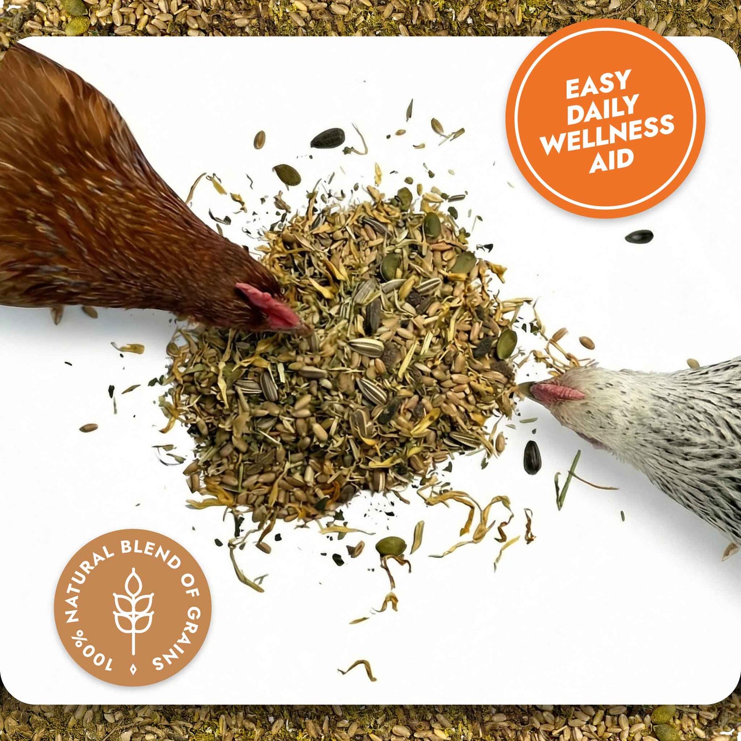 Superfood Strength – General Wellbeing