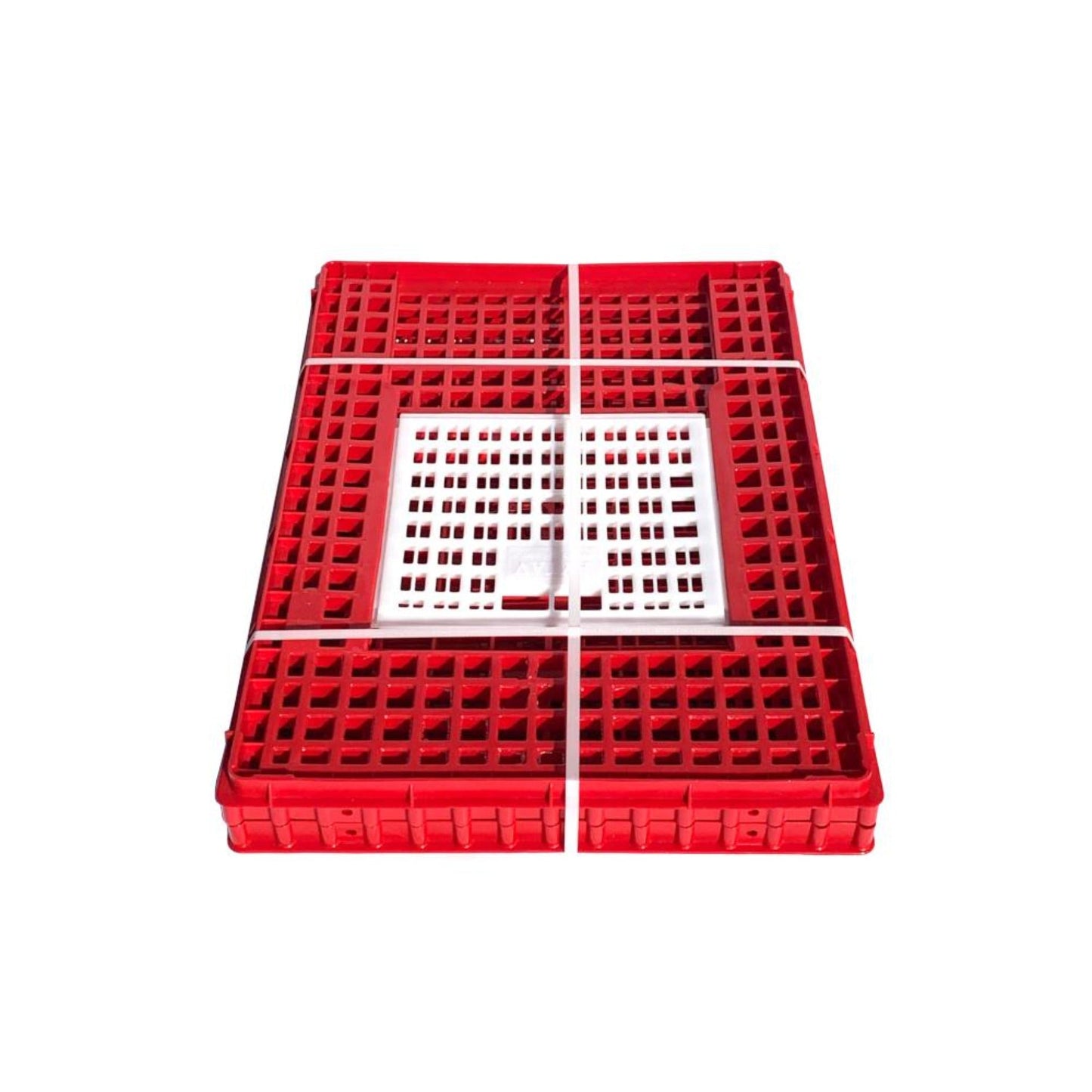 Chicken Transport Coop (Small, Deep) with Top Door