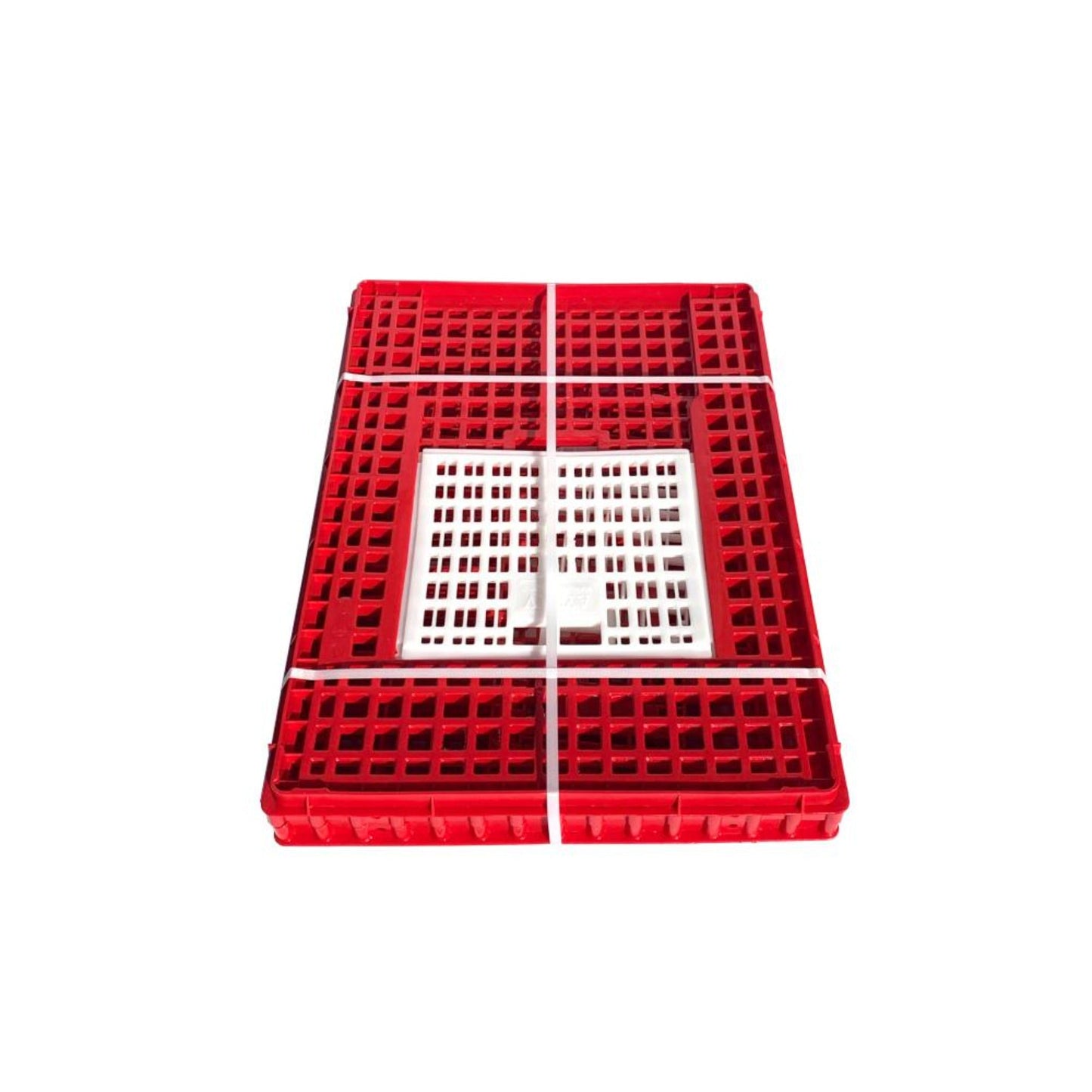 Chicken Transport Coop (Small) with Two Doors