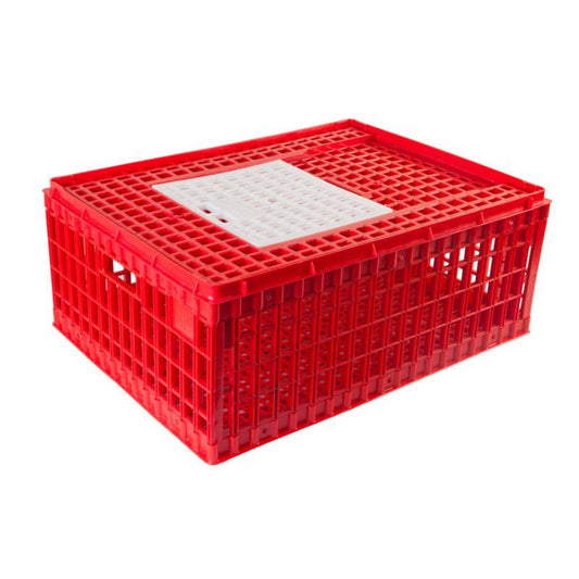Chicken Transport Coop (Small, Deep) with Top Door