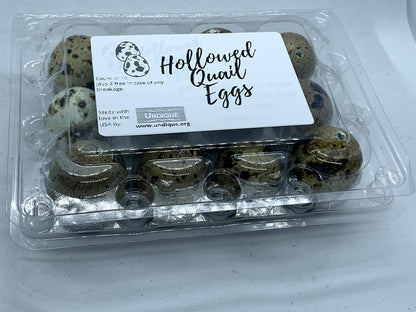 Empty Whole Eggshells Quail Eggs Hollowed - Set of 10 Cleaned Hollow Quail Eggs Perfect for Crafting and Decoration