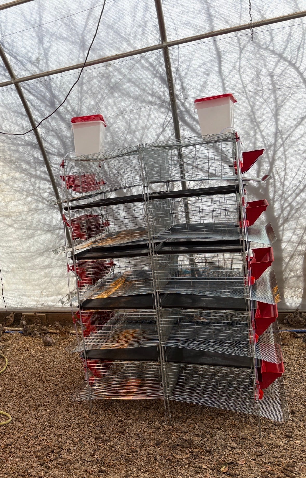 Premium Stacking Cages for Quail - Bird Keeping Supplies for Quail Enthusiasts