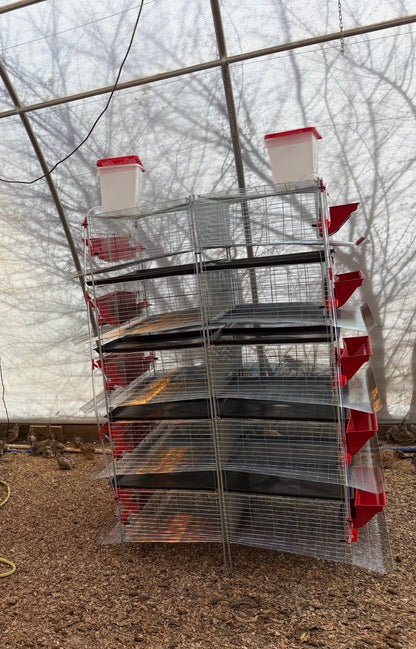 Premium Stacking Cages for Quail - Bird Keeping Supplies for Quail Enthusiasts