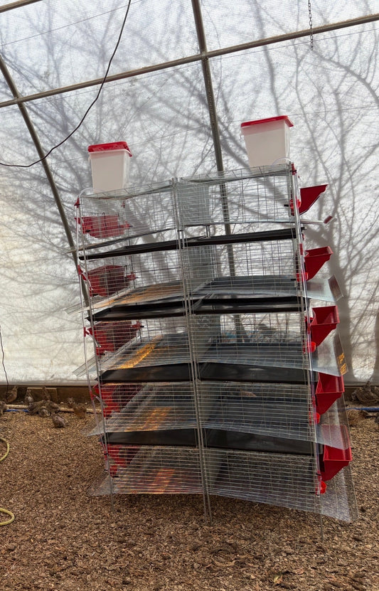 Premium Stacking Cages for Quail - Bird Keeping Supplies for Quail Enthusiasts