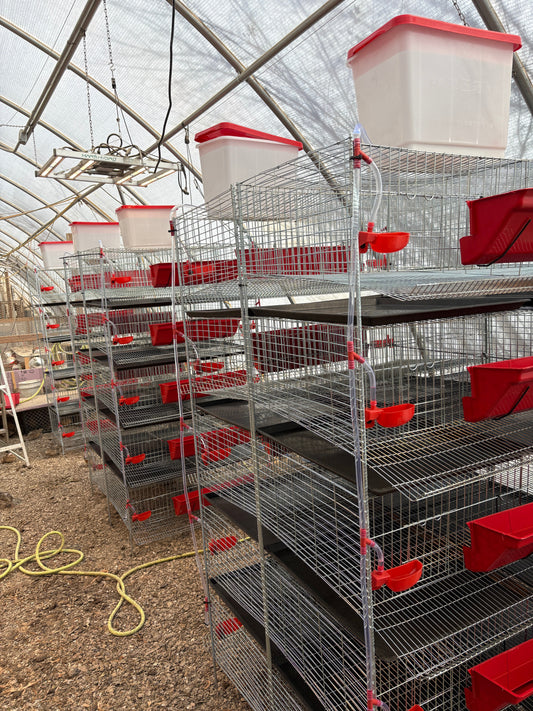 Premium Stacking Cages for Quail - Bird Keeping Supplies for Quail Enthusiasts