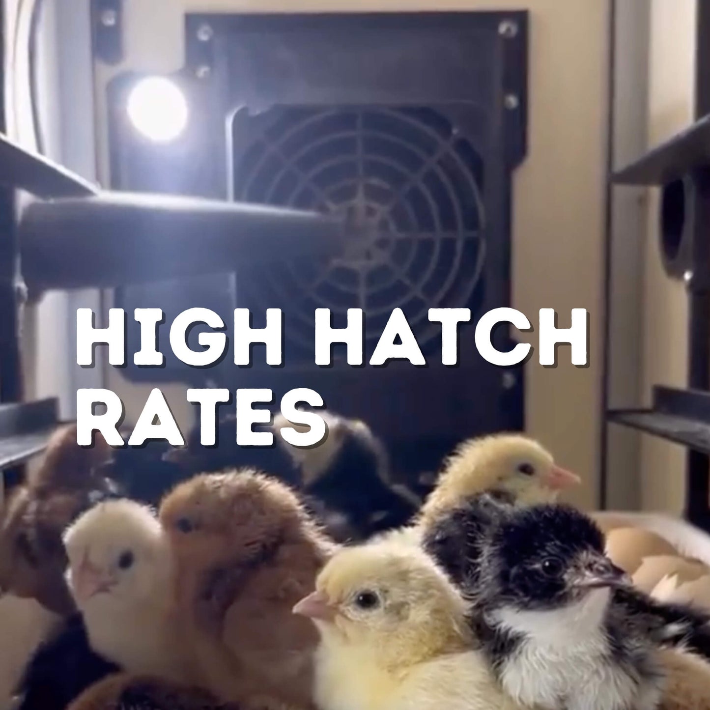 CT120 H - Egg Hatcher Only - Automatic Poultry Hatching Machine