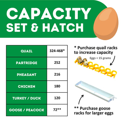 CT180 SH - Egg Incubator - Setter & Hatcher