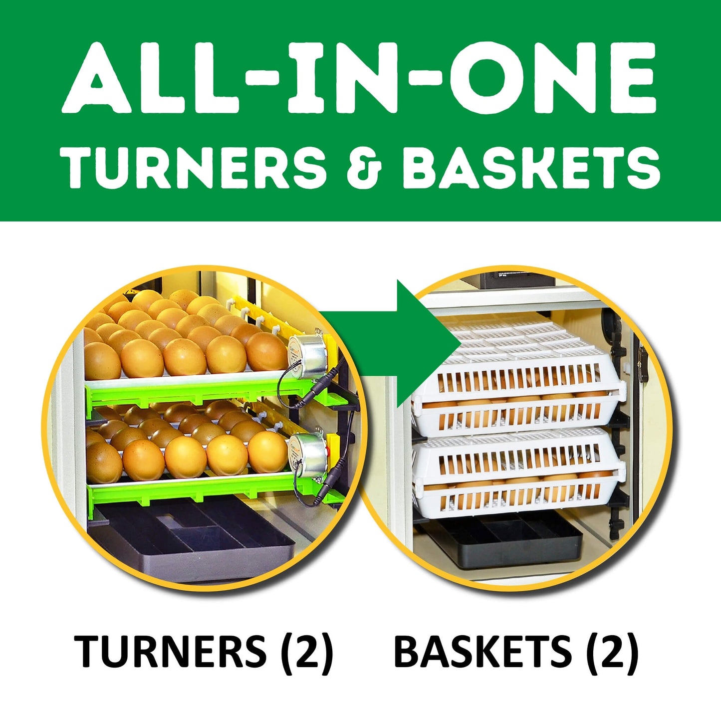 CT60 SH - Egg Incubator - Setter & Hatcher