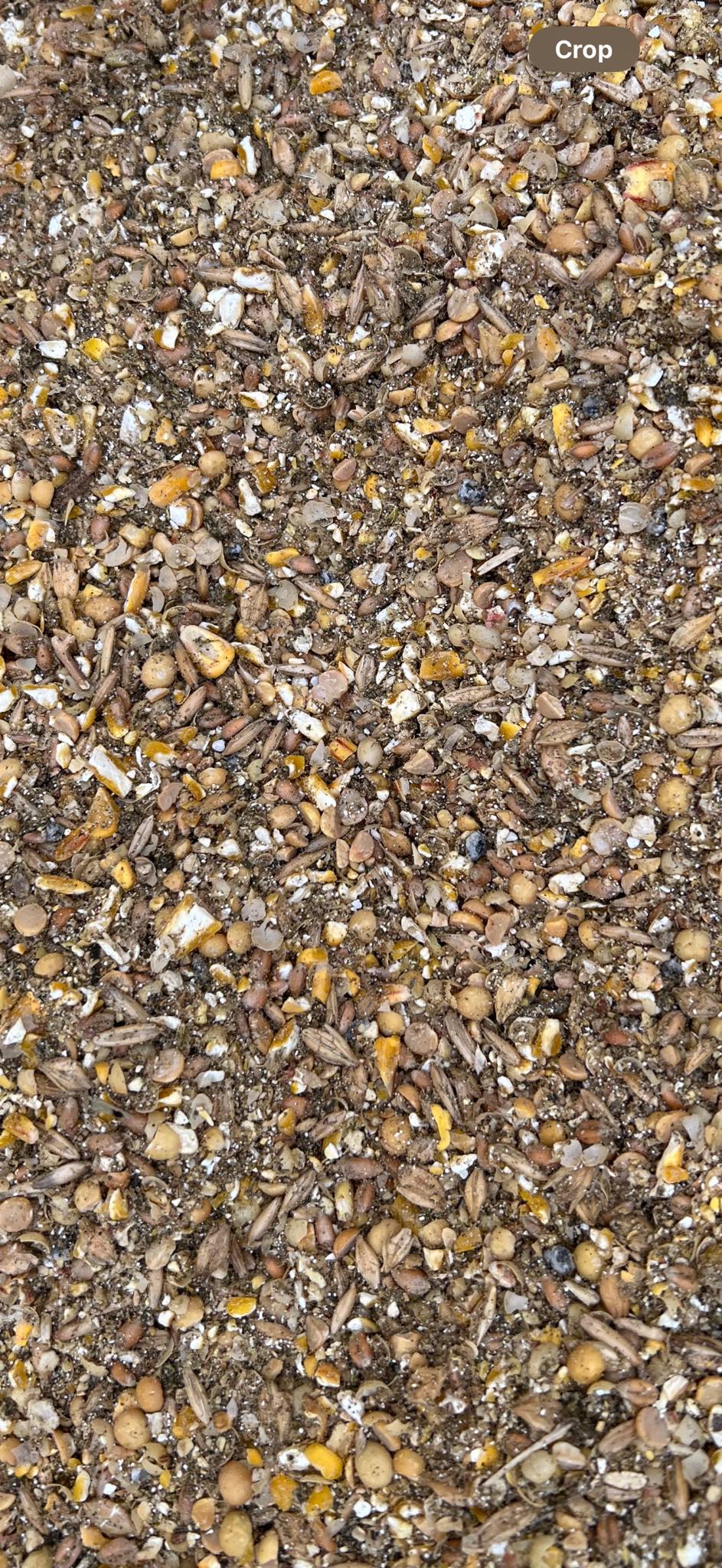 Premium 22% Protein Chick Starter Feed