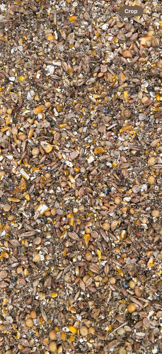 Premium 22% Protein Chick Starter Feed