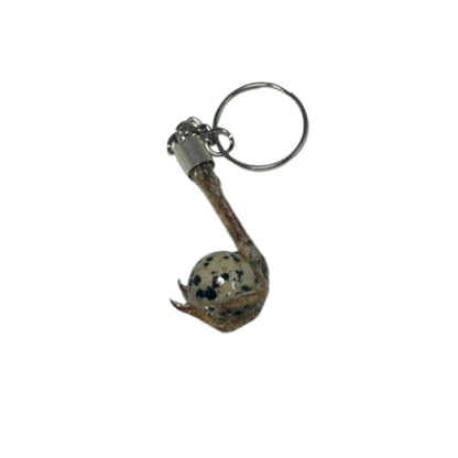 Quail Feet Necklace and Chain