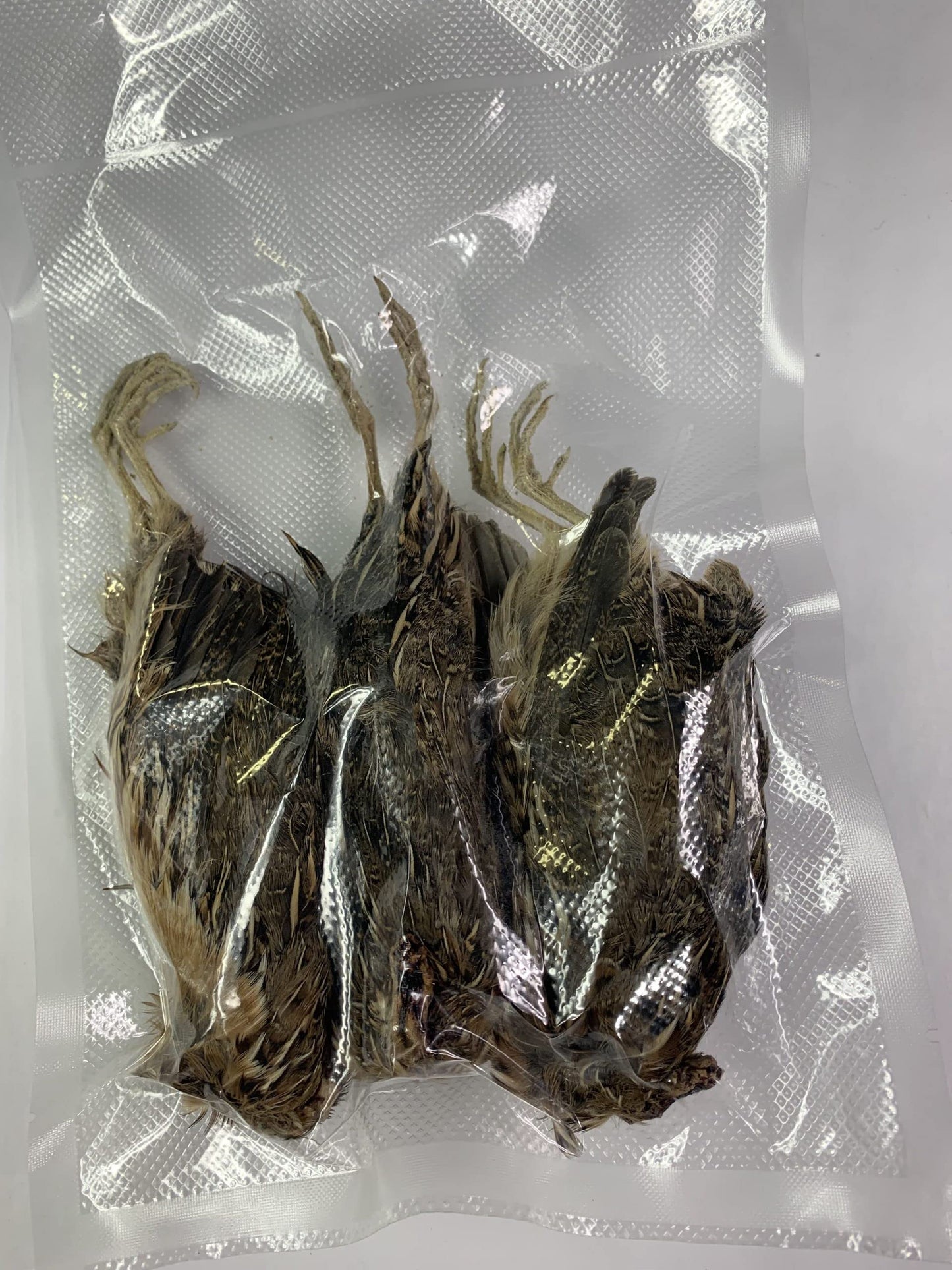 Whole Frozen Quail for Bird Dog Training or Falconry 3 Pack (local pickup only)