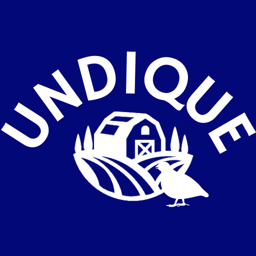 Quailz.com by Undique LLC