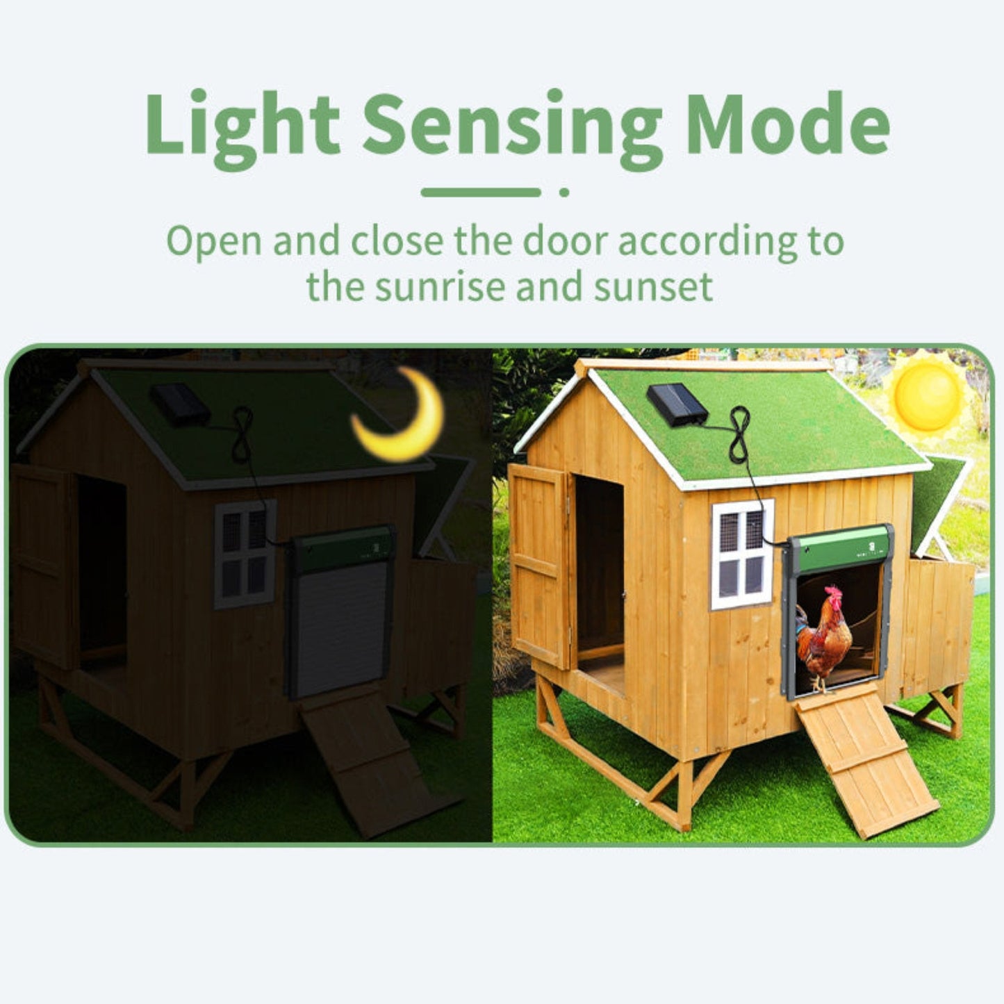 Sungate Solar Powered Automatic Chicken Coop Door with Remote