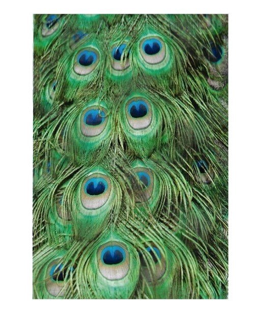 Premium Peacock Feathers Green Poly Mailers Size 6x9 Shipping Bags - Packaging Materials for Quail Enthusiasts
