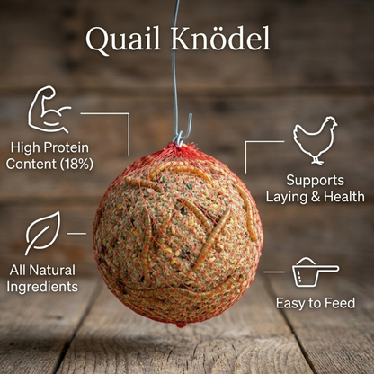 Premium Quail & Gamebird Knödel — Enrichment Feed Ball with Mealworms 2 pack - Bird Keeping Supplies for Quail Enthusiasts